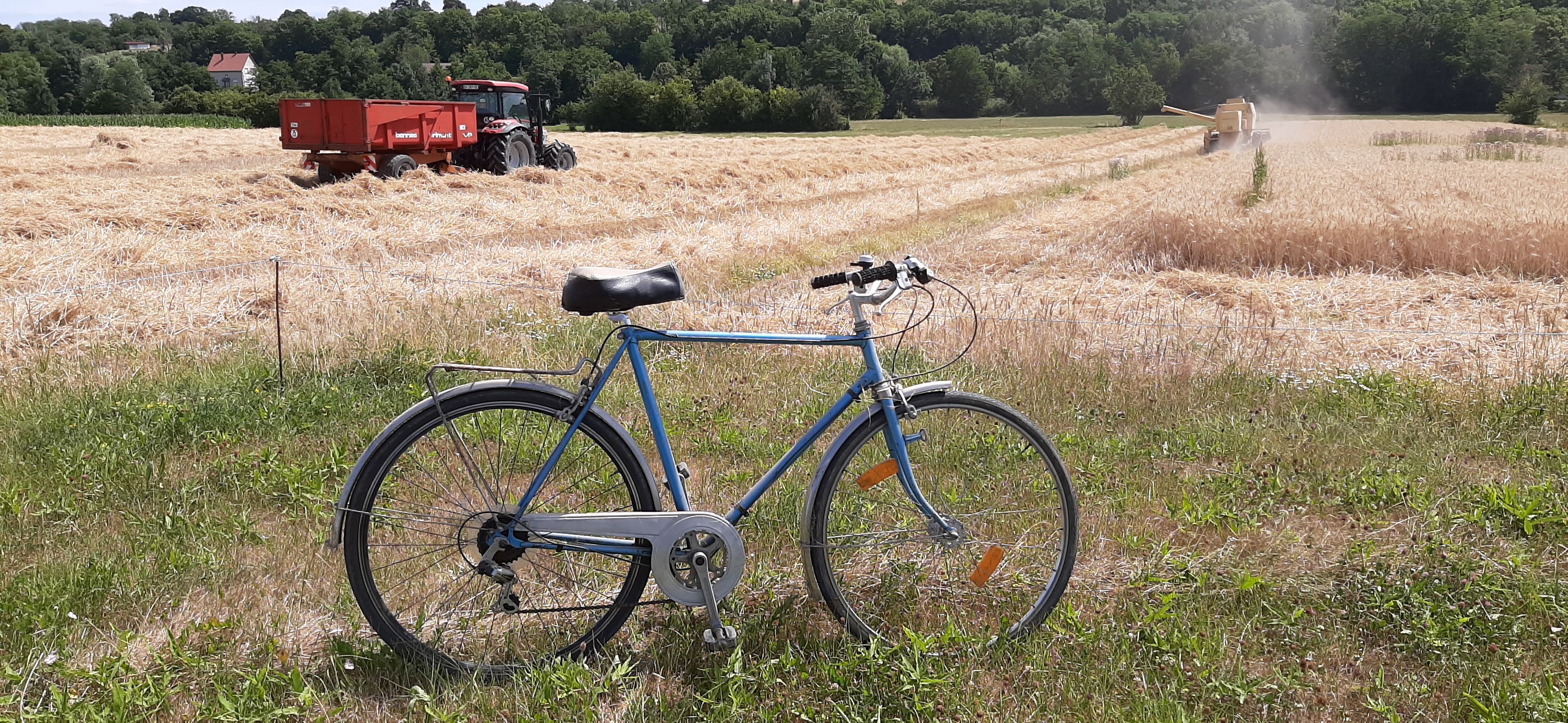 Vélo de route à la campagne
